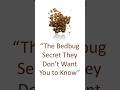 The Bedbug Secret They Don’t Want You to Know (Save Money &amp; Eliminate Fast)