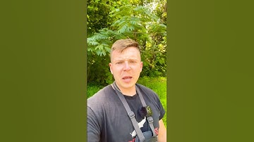 MAKE SURE TO DO THIS!!! 😃 #quickcatchandrelease #fish #fishing #short #viral #video #fun #4th