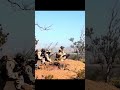 Watch Marines Fire the Light Anti-Tank Weapon With Precision🔥#shorts  #military