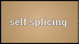 Self splicing Meaning | Wordogram