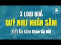 🔴 3 LOẠI QUẢ QUÝ NHƯ NHÂN SÂM | Nam Hà