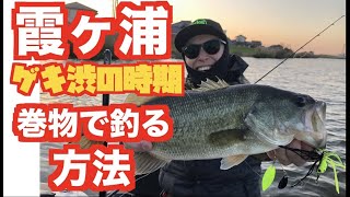 【バス釣り】ゲキ渋の霞ヶ浦!巻物で釣る方法!!