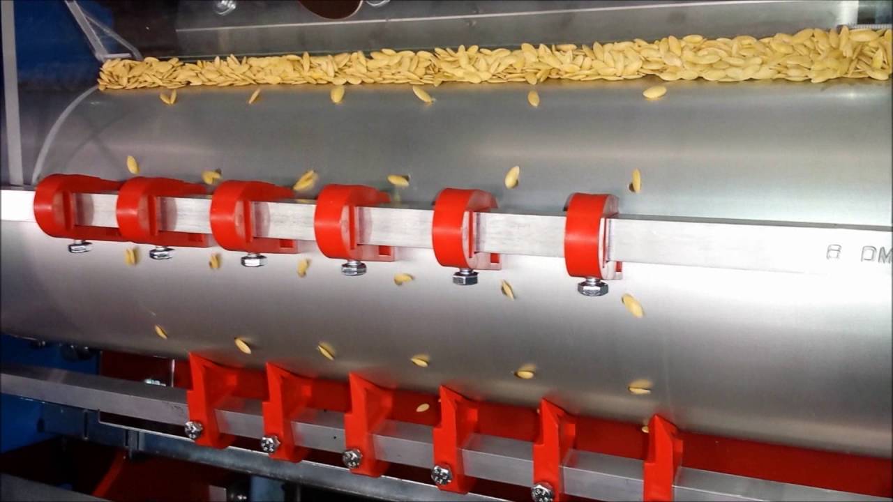 Semoir à rouleau monté sur motteuse