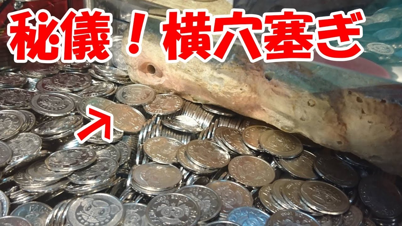 【横穴塞ぎ】ダイノキングの横穴を塞いでみたPart1