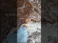 எவ்வனம் காண காட்சிகள் உண்டோ இவ்வனத்தில் | kodaikanal Private waterfalls