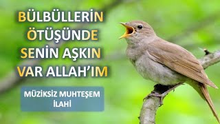 BÜLBÜLLERİN ÖTÜŞÜNDE SENİN AŞKIN VAR ALLAHIM (Müziksiz İlahi) Resimi