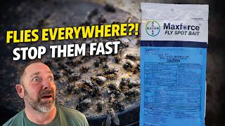 How to Get Rid of Flies FAST with Maxforce Fly Spot Bait (Pro Results)