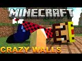 ПРЯЧУЩИЕСЯ ВРАГИ - Minecraft Crazy Walls (Mini-Game)