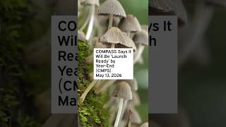 COMPASS Says It Will Be ‘Launch Ready’ by Year-End #COMPASSPathways #CMPS #Psilocybin #Biotech #FDA