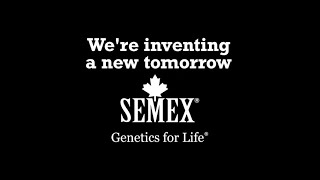 Semex 2020