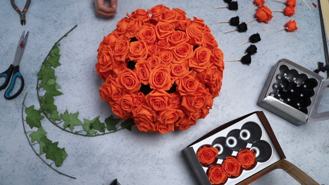Cornici Floreali Rotonde Disegnate A Mano Schizzo Di Fiori Foglie E Rami Corona Decorativa