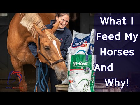 Video: Vilka agnar ska jag mata min häst?