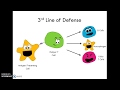 Immune System Defense Mechanisms Quiz