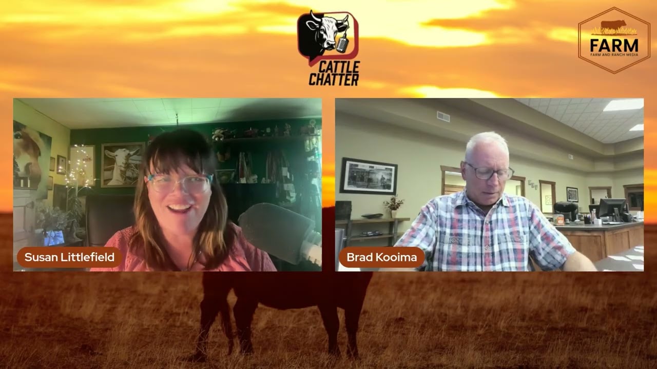 Strong Feeders Move Market 8/21/25 Cattle Chatter Strong Feeders Move Market 8/21/25 Cattle Chatter