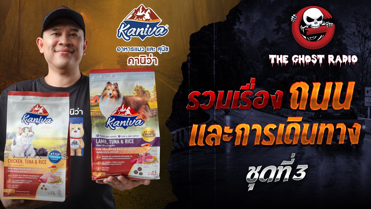 รวมเรื่องถนนและการเดินทาง ชุดที่ 3 | สนับสนุนโดย อาหารแมวและสุนัขคานิว่า