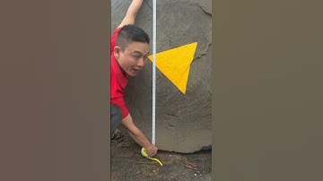 gỗ cẩm hồng vân đẹp giá rẻ hiếm có | Sơn Sập Gỗ