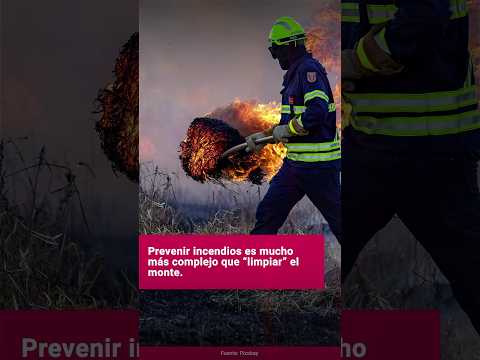 Miniatura del vídeo NO ES QUE NO SE PUEDA LIMPIAR EL MONTE PARA PREVENIR INCENDIOS, CUESTA DINERO | THE CONVERSATION