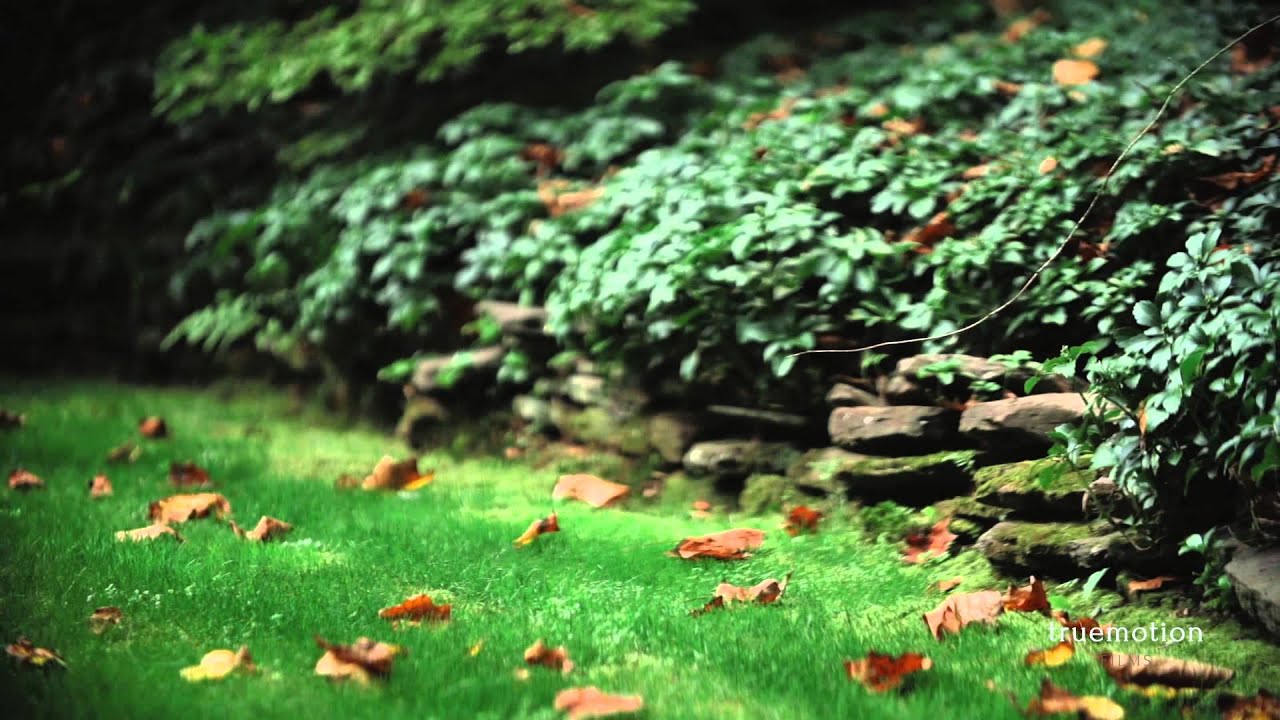 6980 Upper York RdNew HopeSolebury PA Real Estate YouTube