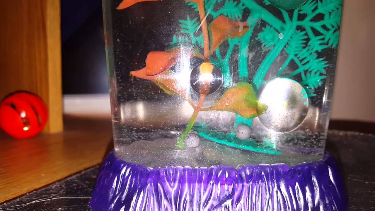 Sea monkey & aqua dragon eggs day 1 YouTube