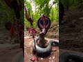 Assam Buri Maa temple#trendingshorts#viralvideo #virel