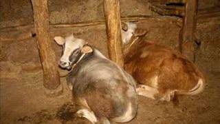 Aslancayir - Tercan - Erzincan