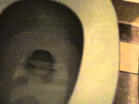 1389 Newer Kohler Wellcomme Toilet 13 Moms Pov 1389 Newer Kohler Wellcomme Toilet 13 Moms Pov