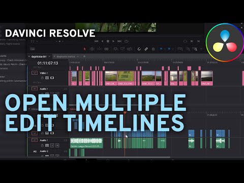 Davinci Resolve, How