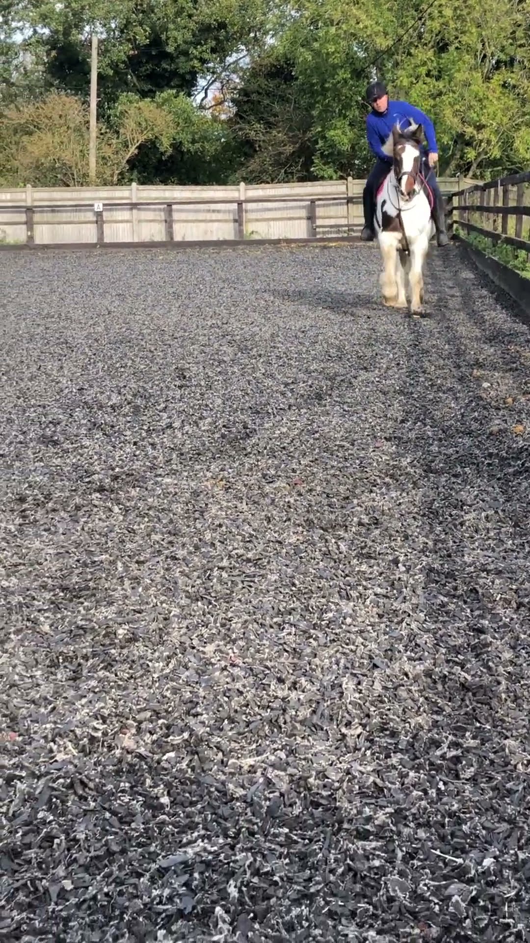 Cantering Horse Is Unphased By Inexperienced Rider || ViralHog