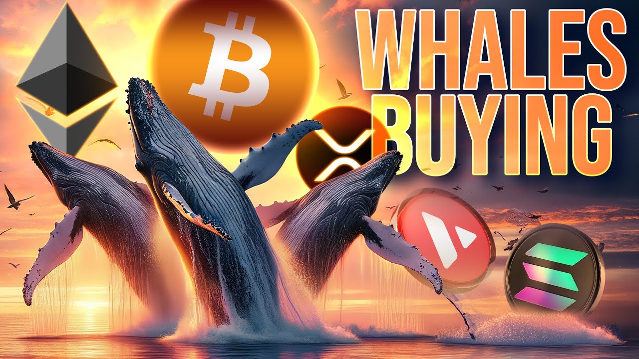 Whales Buying Crypto🚀Bullish Outlook Continues📈