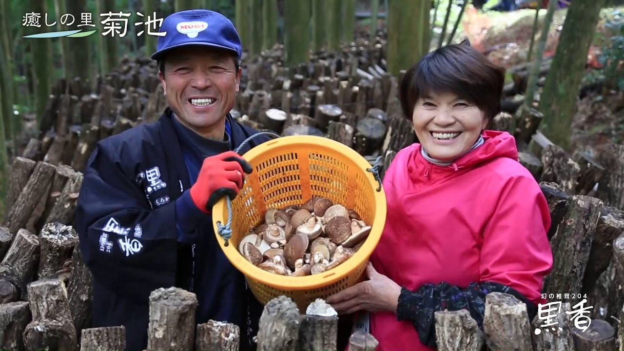 2015幻の椎茸204「黒香」産地見学ツアー＠熊本県菊池市 - YouTube