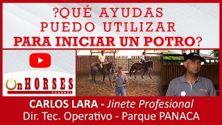 ¿QUÉ AYUDAS PUEDO UTILIZAR PARA INICIAR UN POTRO? | On HORSES CHANNEL