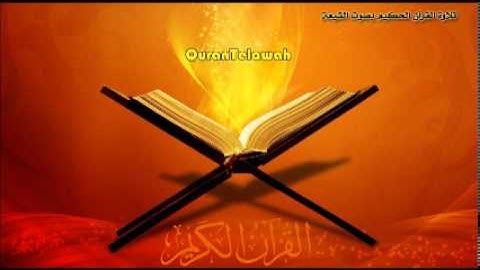 سورة الأنعام - عامر الكاظمي