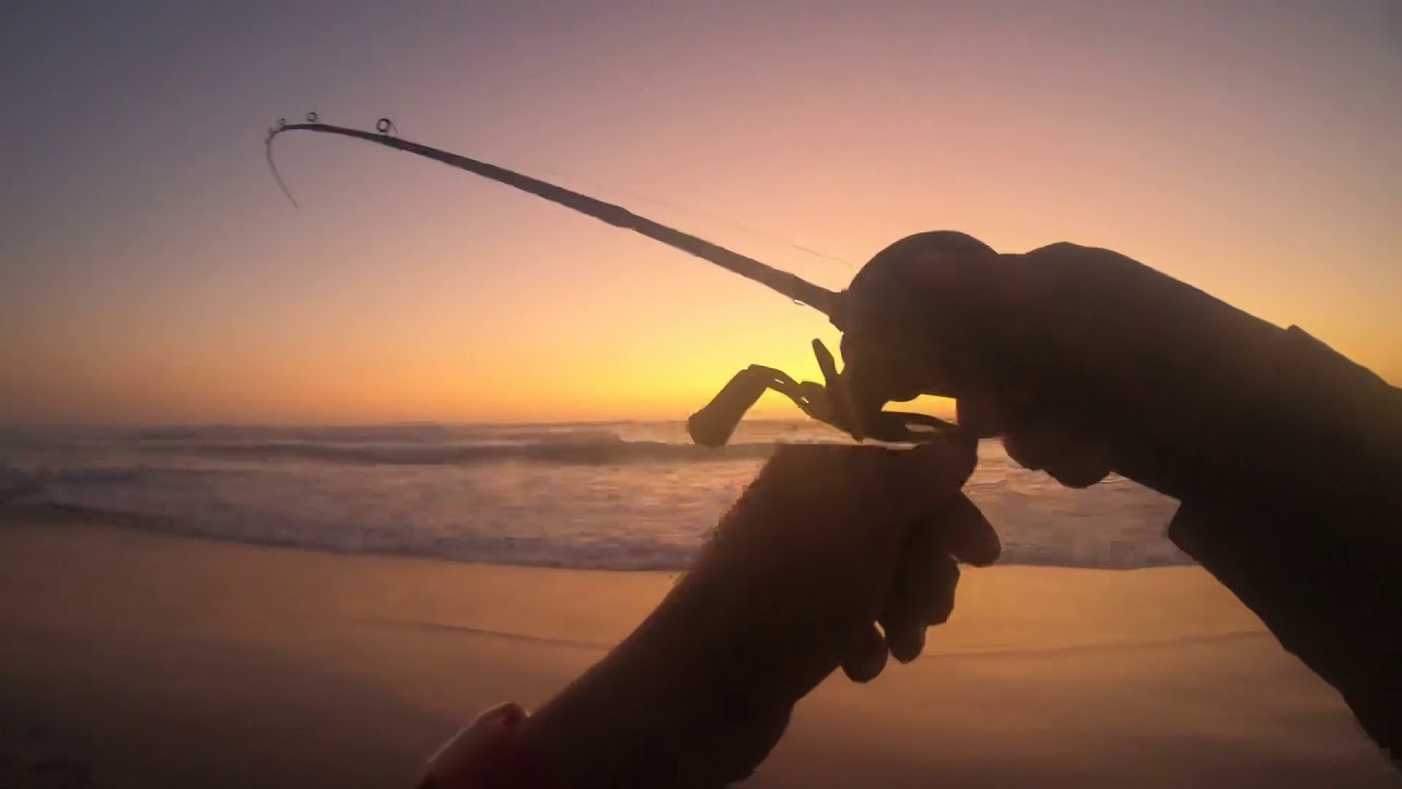 56 Corvina A La Caída Del Sol La Ballena Chile ダイワ2019モアザンpe Tw 1000 Youtube