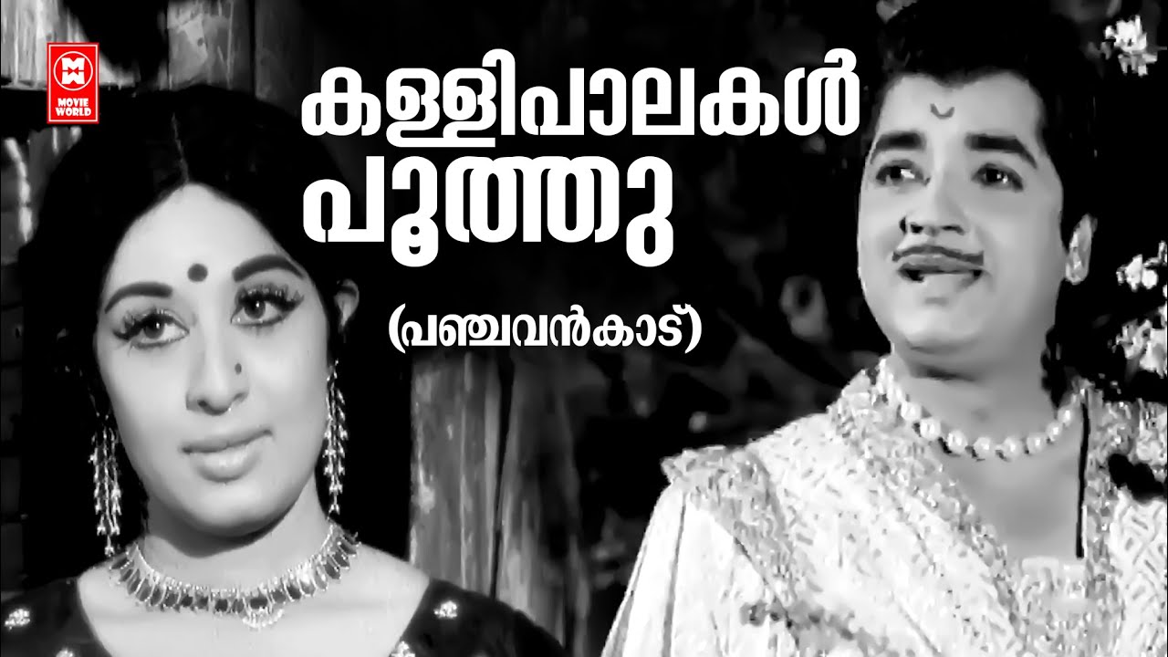 Kallipaalakal Poothu  Panchavankadu  G Devarajan  Vayalar Ramavarma  KJ Yesudas  Prem Nazir