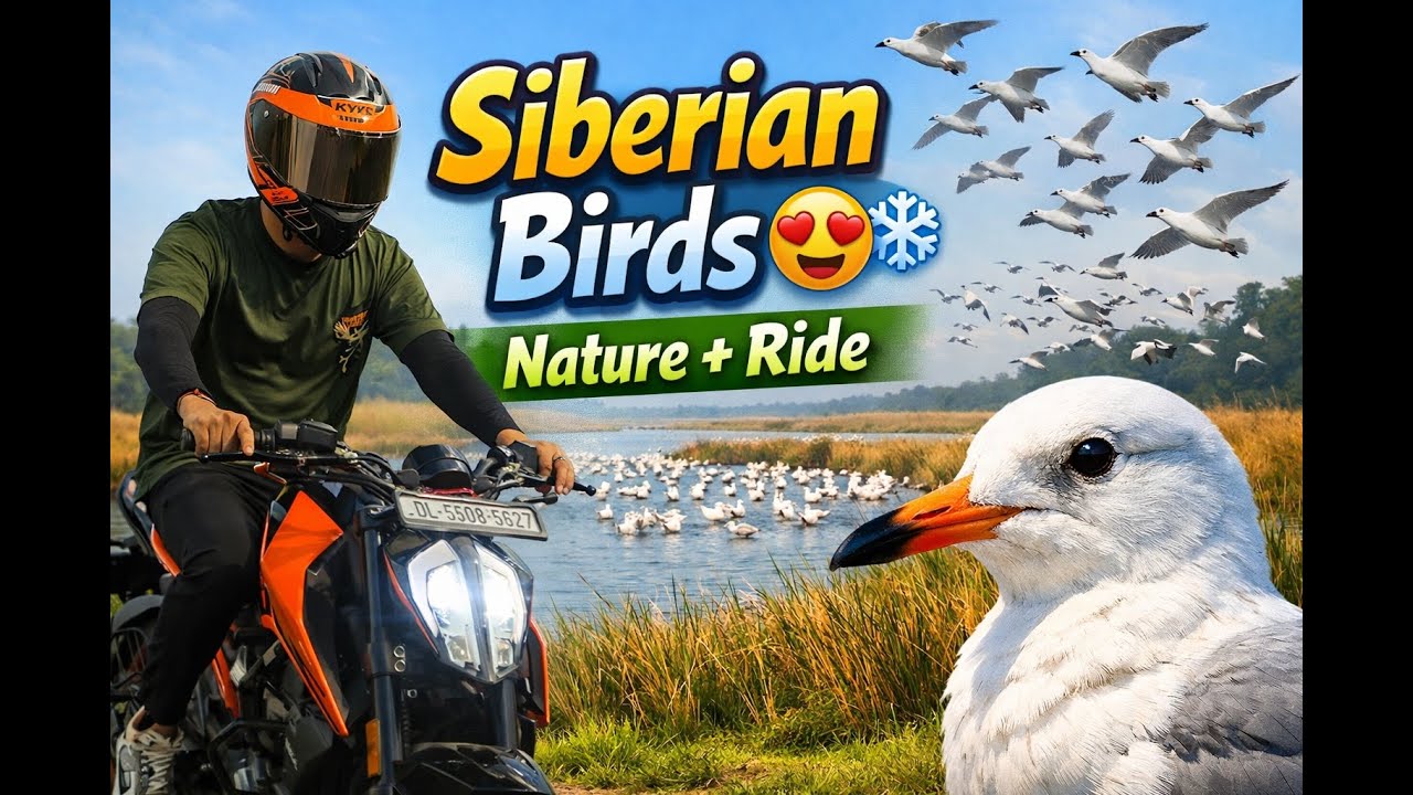 “Siberian Birds 😍❄️ | Nature + Bike Ride | Winter Special Vlog” 