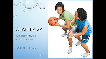 Chapter 27 Lecture Video