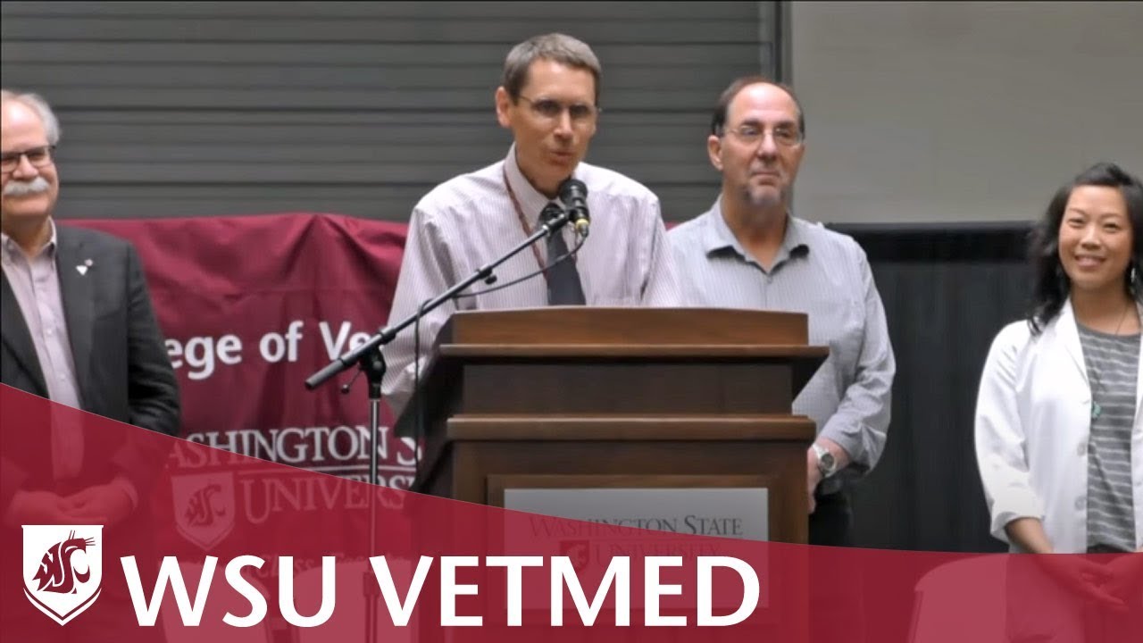 Washington State University College of Veterinary Medicine Transition