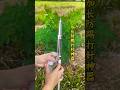 Anti Kick injection device for cattle #cattledisease #cattlefarm #foryou #trending #tools #viral