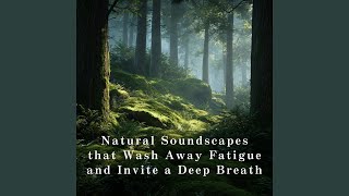 Golden Hour in Silence - Relax α Wave