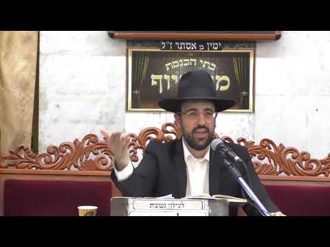 הרב מאיר אליהו | פרשת לך לך - ה׳תשע״ט | מוסאיוף