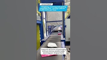 Weighing, scanning and sorting assembly line - sorting 3,000 to 5,000 items per hour