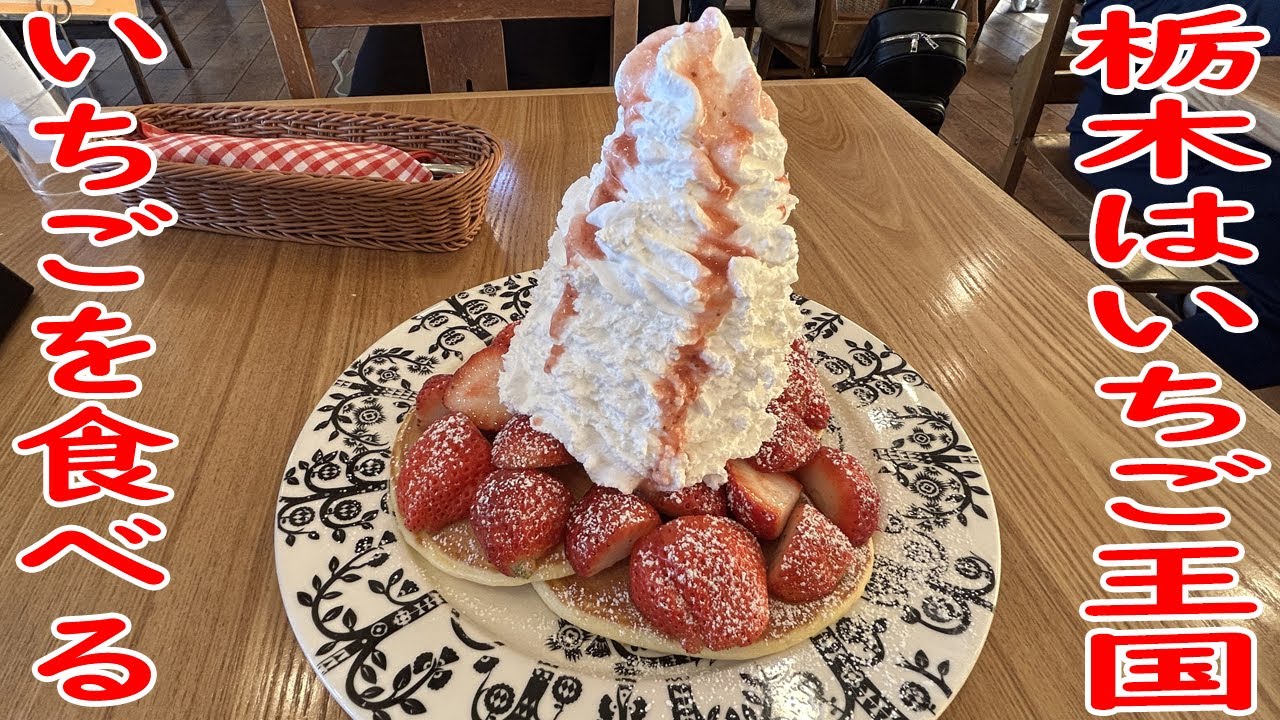 【栃木はいちご王国】天使のパンケーキを食べる！【いちごの里】