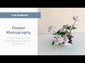 Photographing Flower Arrangements 📸. 😍  🌹 5 Tips to Help You Take Better Photographs