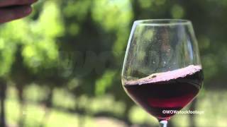 Full Pouring wine SF2158 Guide
