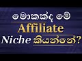 Affiliate Marketing Niche යනු කුමක්ද? | මුල සිට සරලව සිංහලෙන්