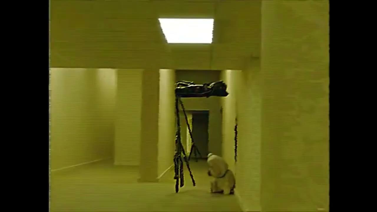 Talking Ben in the Backrooms Part 2 (creditos Techromost) YouTube