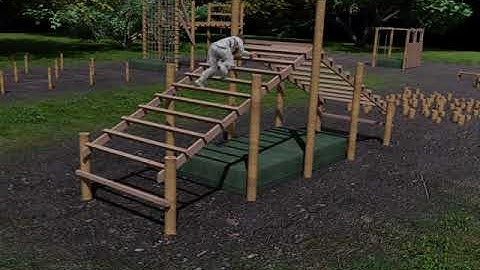 Module 4 - Where To Go From Here