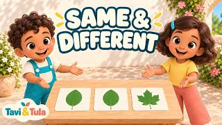Same and Different Leaf Pictures | Original Learning Song | Tavi & Tula Same and Different Leaf Pictures | Original Learning Song | Tavi & Tula