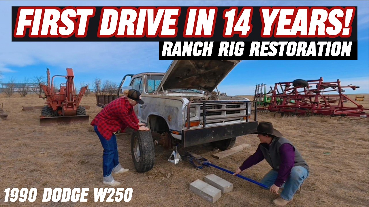 Мы купили 36-летний пикап за 750 долларов... Посмотрим, что получится...