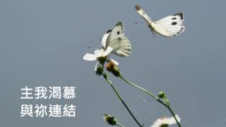 主我來親近祢[ 福音專輯 ]-預告/12月發行